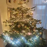 דירה Ferienhaus Bitburg ביטבורג