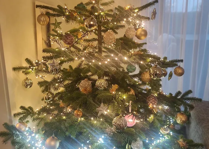 Apartamento Ferienhaus Bitburg Bitburg